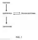 Fig. 02 - Methods for identifying functionally related genes and drug targets