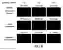 Fig. 06 - Methods and compositions for introducing biopolymers into cells