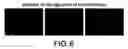 Fig. 07 - Methods and compositions for introducing biopolymers into cells