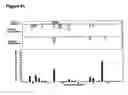 Fig. 06 - Method for identification and development of therapeutic agents