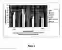Fig. 08 - Method for identification and development of therapeutic agents