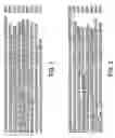 Fig. 02 - Sperm-specific cation channel, catsper-3 and uses therefor
