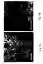 Fig. 06 - Short peptides from the ‘2loop’ of 7 transmembrane receptor which selectively modulate signal transduction