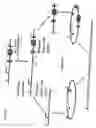 Fig. 03 - Cell lines and host nucleic acid sequences related to infectious disease