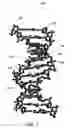 Fig. 03 - Chemical switching of nucleic acid circuit elements