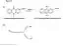 Fig. 09 - Chemical switching of nucleic acid circuit elements