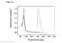 Fig. 10 - Chemical switching of nucleic acid circuit elements