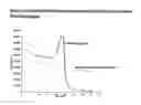 Fig. 03 - Method for determining the amount of template nucleic acid present in a sample