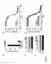 Fig. 06 - Methods and compositions for treating a subject having an anthrax toxin mediated condition