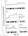 Fig. 15 - Detection of chromosomal abnormalities associated with breast cancer