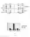 Fig. 10 - Agglomeration protein cascades, compositions and methods regarding the same