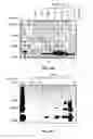 Fig. 28 - Agglomeration protein cascades, compositions and methods regarding the same