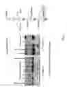 Fig. 41 - Agglomeration protein cascades, compositions and methods regarding the same