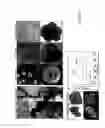 Fig. 49 - Agglomeration protein cascades, compositions and methods regarding the same
