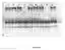 Fig. 54 - Agglomeration protein cascades, compositions and methods regarding the same