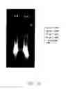 Fig. 31 - Compositions comprising a library of analytes for detection, quantification and analyses
