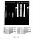 Fig. 32 - Compositions comprising a library of analytes for detection, quantification and analyses
