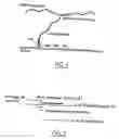 Fig. 02 - Process for aligning macromolecules by passage of a meniscus and applications