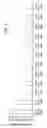 Fig. 04 - Methods and sequences to suppress primate huntington gene expression