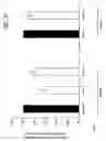 Fig. 24 - Methods and sequences to suppress primate huntington gene expression