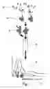 Fig. 02 - Methods of producing intrachain fluorophore-quencher FRET-aptamers and assays