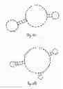 Fig. 06 - Methods of producing intrachain fluorophore-quencher FRET-aptamers and assays