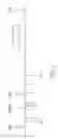 Fig. 03 - Determination of the number of tandem repeat nucleotides using encoded probe-displaying beads