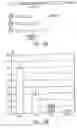 Fig. 11 - Determination of the number of tandem repeat nucleotides using encoded probe-displaying beads