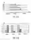 Fig. 12 - Determination of the number of tandem repeat nucleotides using encoded probe-displaying beads