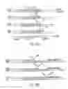 Fig. 15 - Determination of the number of tandem repeat nucleotides using encoded probe-displaying beads