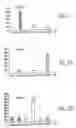 Fig. 17 - Determination of the number of tandem repeat nucleotides using encoded probe-displaying beads