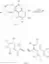 Fig. 26 - FLUORESCENT DYES, ENERGY TRANSFER COUPLES AND METHODS