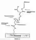 Fig. 02 - Polymer-coated substrates for binding biological molecules