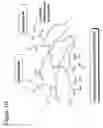 Fig. 03 - Polymer-coated substrates for binding biological molecules