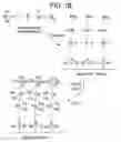 Fig. 03 - Biomolecule retaining material and methods for attaching biomolecules to a surface