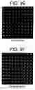 Fig. 12 - Biomolecule retaining material and methods for attaching biomolecules to a surface