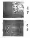 Fig. 14 - High-throughput screening of expressed DNA libraries in filamentous fungi