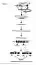 Fig. 10 - Method for isolating intracellular antibodies able to neutralize protein interactions