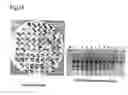 Fig. 17 - Method for isolating intracellular antibodies able to neutralize protein interactions