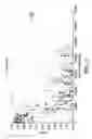 Fig. 03 - ANGE gene in atopy