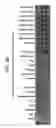 Fig. 10 - ANGE gene in atopy