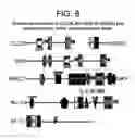 Fig. 294 - ANGE gene in atopy