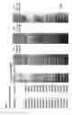 Fig. 302 - ANGE gene in atopy
