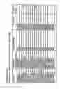 Fig. 306 - ANGE gene in atopy