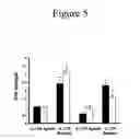 Fig. 06 - Use of IL-17F in diagnosis and therapy of airway inflammation