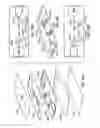 Fig. 65 - Integration of fluids and reagents into self-contained cartridges containing particle and membrane sensor elements