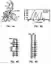 Fig. 05 - Artificial antibody polypeptides