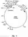 Fig. 08 - Artificial antibody polypeptides