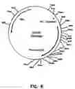 Fig. 09 - Artificial antibody polypeptides