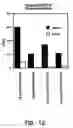 Fig. 12 - Artificial antibody polypeptides